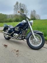 Kawasaki VN 800 Classic 1.Hand viele Extras
