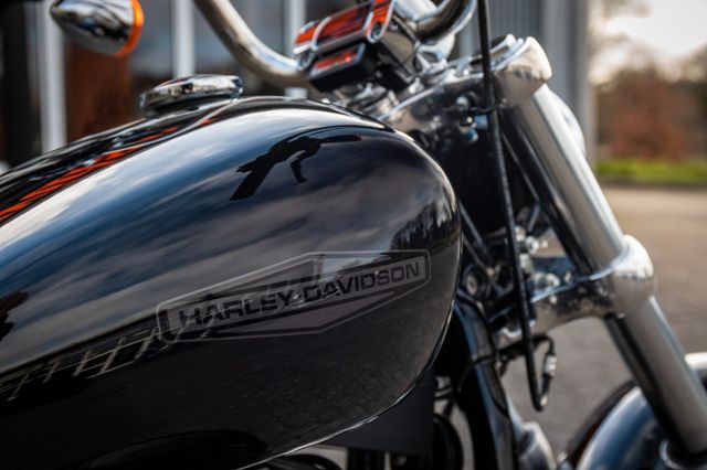 Fahrzeugabbildung Harley-Davidson SOFTAIL STANDARD FXST - JEKILL&HYDE - SPEICHEN