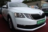 Skoda OCTAVIA COMBI AMBITION AUTOMATIK BENZIN/GAS KLIM - Skoda Octavia in Essen