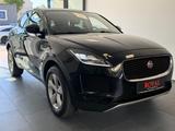 Jaguar E-Pace E-PACE Basis - Jaguar Gebrauchtwagen in Mannheim