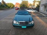 Mercedes-Benz Mercedes CLK55 AMG Cabrio W208 Unikat ! Ta... - Mercedes-Benz CLK w208