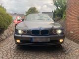 BMW E39 525i Limousine-Top Zustand- - BMW: E39