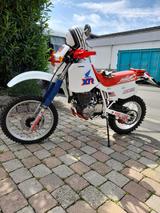 Honda XR 600 R - HONDA XR600