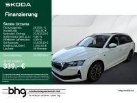 Skoda Octavia - Vorschau Bild 1