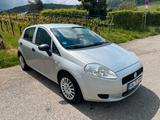 Fiat Punto 1.2 - günstiger Daily mit HU bis 07/2027 - Fiat Punto Gebrauchtwagen in Stuttgart