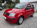 Fiat Panda 1.2 8V MyLive - Fiat Panda: My