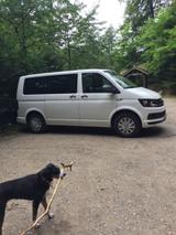 Volkswagen VW Multivan + Camping Austattung - : Van, Camping