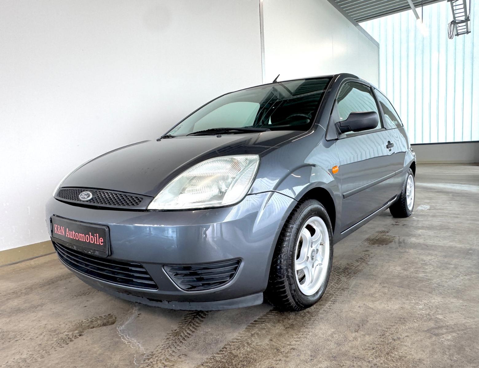 Ford Fiesta 1,3 51kW Blues