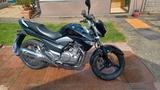 Suzuki  GM 250  Inazuma (der  Blitz) - Offers