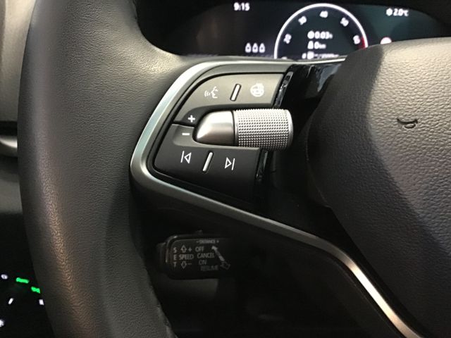 Fahrzeugabbildung Skoda Karoq Selection 1.5 TSI DSG/ACC/SmartLink/LED