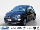 Fiat 500 Lounge KLIMA^ ZV^ Klima Panoramadach - Fiat 500 mit Benzin-Antrieb: Limousine