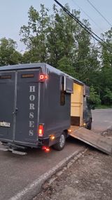 Renault Master Pferdetransport - Renault Master aus 2003