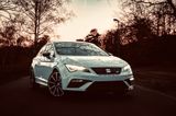 Seat Leon Cupra 300 (Ohne OPF 2018) - Seat Leon: 20