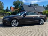 Audi A5 Cabrio 2.0 TFSI SHZ*XENON*8-FACH - Audi: Cabrio, 2.8