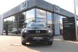 Mazda MX-30 EV PREM-P KOMF-P IV-P GSD/BOSE/360°M/NAV - Mazda MX-30 Gebrauchtwagen