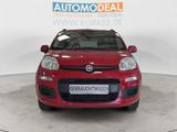 Fiat Panda CLASSIC ALLWETTER BLUETOOTH DAB KLIMA MULT - Fiat Panda mit Benzin-Antrieb: Kleinwagen
