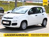 Fiat Panda 1.0 GSE Hybrid 5-SITZER KLIMA TEMPOM. PDC - Fiat Panda: Sitzer