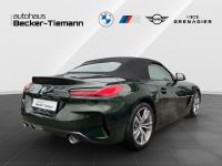 BMW Z4 - Vorschau Bild 6