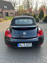 Volkswagen Beetle 1.4 TSI Design Cabriolet Design - Volkswagen Beetle: Schwarz