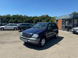 Mercedes-Benz ML 320/KLIMA/AHK/ALLRAD/TEMPOMAT - Mercedes-Benz ML-Class aus 1999