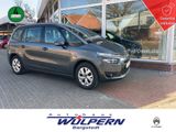 Citroën C4 Grand Picasso BlueHDi 120 1.6 - Citroën C4 mit Diesel-Antrieb: 1.6