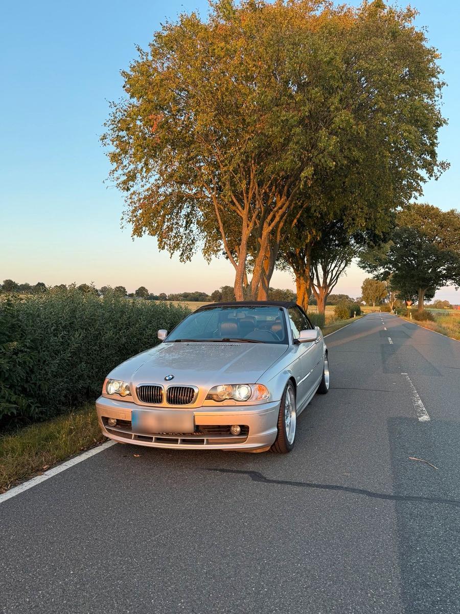 BMW 323