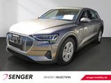 Audi e-tron 50 quattro Navi Luftfahrwerk Standklima - Audi: Luftfahrwerk