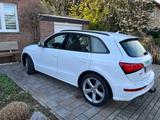 Audi SQ5 3.0 TDI competition tiptronic quattro - - gebrauchte Audi SQ5 aus dem Jahr 2017