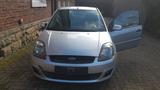 Ford Fiesta 1,3 51 kW Silver Magic Silver Magic - Ford Fiesta: Magic