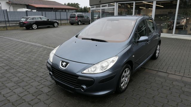 Peugeot 307 Grand Filou Cool