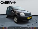 Fiat Panda 1.1 8V Active *TÜV* *SERVO* *WENIG KM* - Fiat Panda: Active