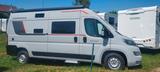 Roller Team Livingstone 2 Sport 2.3  - Roller Team Livingstone