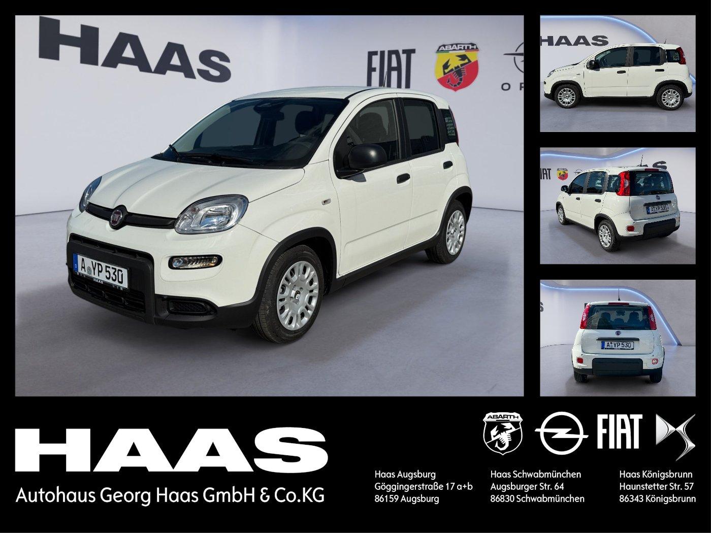 Fiat Pandina