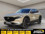 Mazda CX-30 Nagisa LED+Bose+Elektrische Heckklappe+Kam - Mazda CX-30: Nagisa