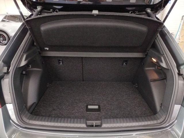 Skoda Fabia Monte Carlo 1,0 TSI DSG Fahrassistenz/ Win