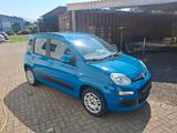 Fiat New Panda 1.2 8V LOUNGE LOUNGE - blaue Fiat New Panda