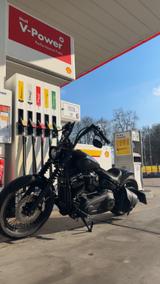 Harley-Davidson Street Bob - Angebote