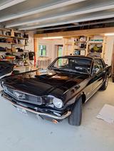 Ford Mustang *V8* Baujahr 1965 Super Zustand - Autos aus dem Jahr 1965