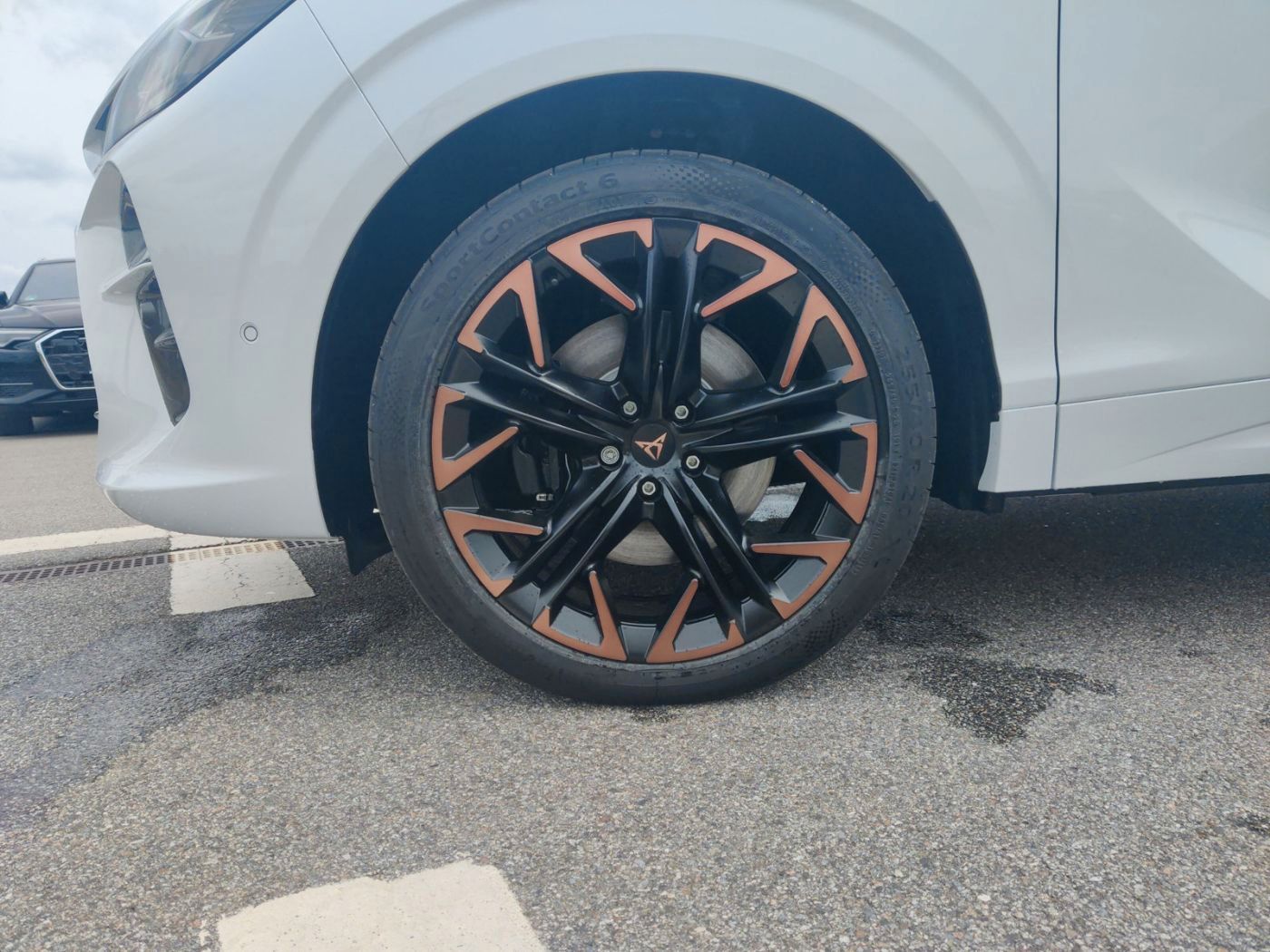 Cupra Terramar - Bild 9