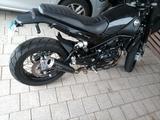 Benelli Leoncino Trail 500 - BENELLI LEONCINO 500