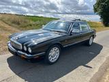 Jaguar Daimler 4.0 Super V8 LWB 4-Sitzer. Top!! - Jaguar Daimler: 4.0
