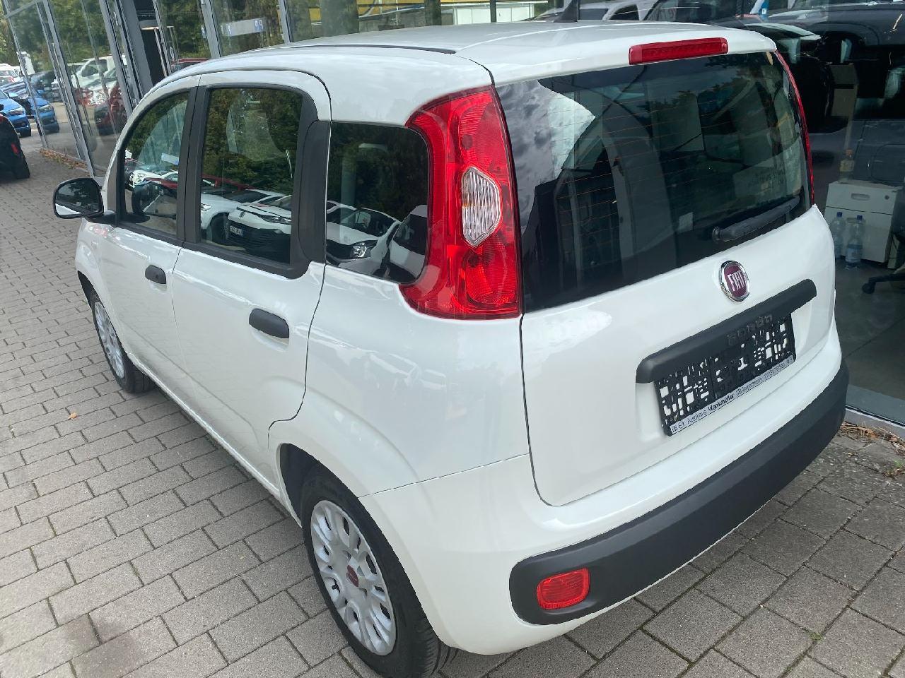 Fiat Panda Easy