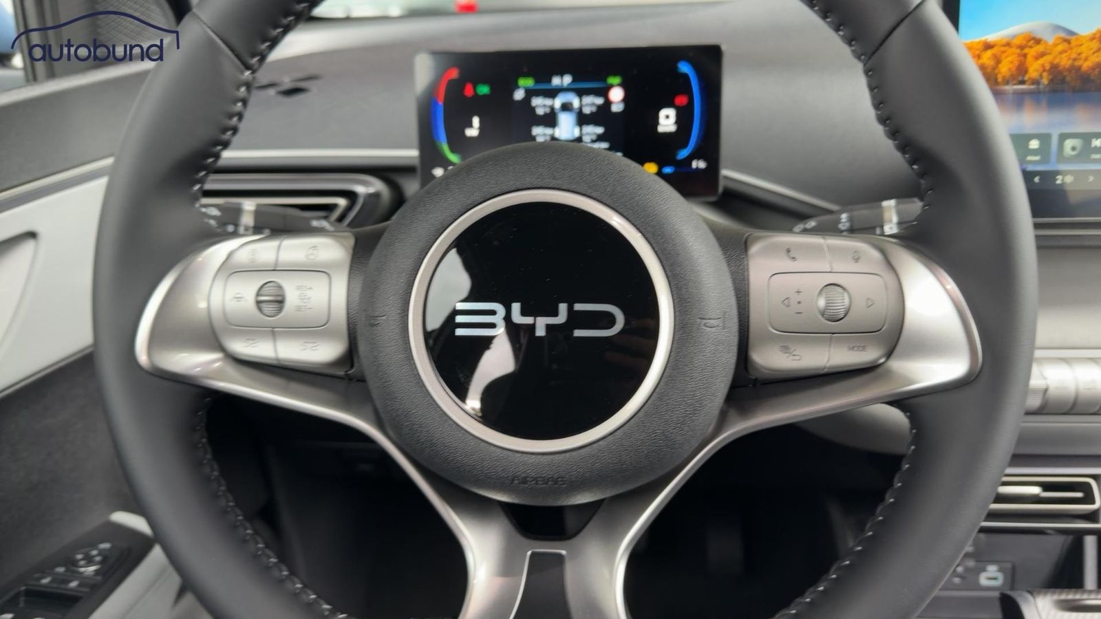 BYD DOLPHIN SURF