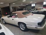 Jaguar XJS 4.0 Cabrio - Sammlerzustand - Jaguar aus 1995