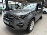 Land Rover Discovery Sport SE AWD - Land Rover Discovery in Duisburg