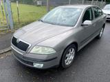Skoda Octavia 1.9 TDI / TÜV Neu 10.2027/ S... - Skoda Octavia: Limousine, 1.9