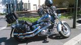 Honda Shadow 1100 SC23-G600 USA Edition - Offers matching your search criteria