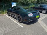Ford Mustang 5.0 V8 Bullitt - Unfallfrei - Garantie - Ford Mustang mit Benzin-Antrieb: Coupé, Bullit