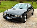 BMW 530i E39 Facelift Rostfrei! TüV NEU! - BMW 530: E39 530i