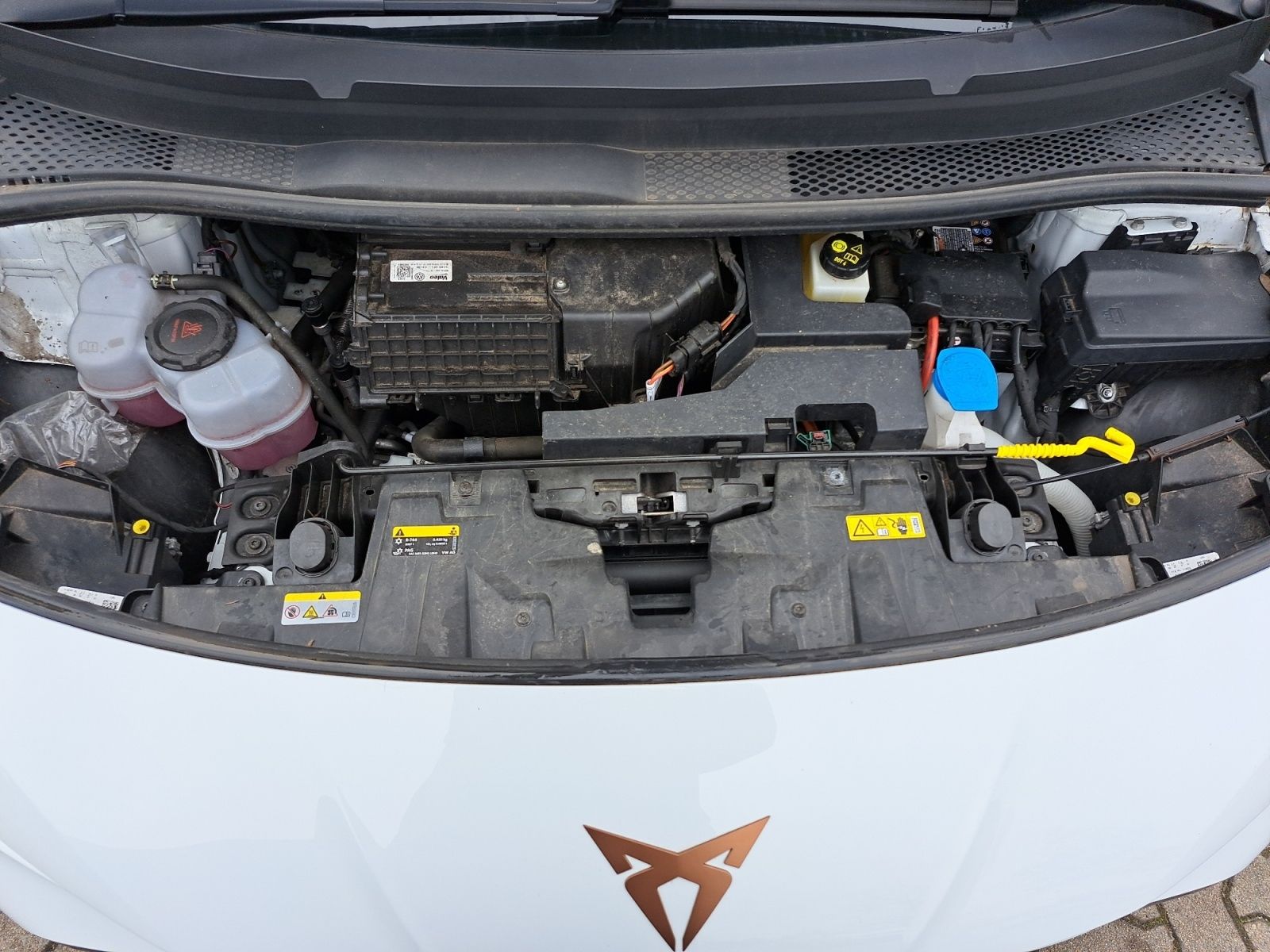 Cupra Born - Bild 24